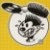 :iconstesio54: