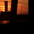 :iconsteulwewl: