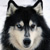 :iconstevecraftphoto: