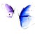 SteveHeggenAquarelle :iconsteveheggenaquarelle: