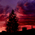 :iconsteven--t: