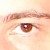 :iconsteven-hyde:
