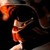 :iconstevenharbingerkins: