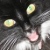 :iconsteveyeu: