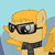 :iconstevotorr: