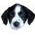 :iconstew731: