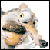:iconstianbjornstad: