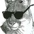 :iconstickythecat: