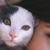 :iconstillinthewoods: