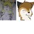 :iconstillmirror: