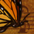 :iconstillwaterslisten: