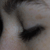:iconstillwishing: