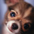 :iconstimpy27: