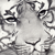 :iconstitch-84: