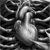 :iconstitchdollz: