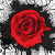 :iconstitched-d-r-e-a-m-s: