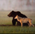 :iconstitchedartist:
