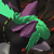 :iconstitchesinthedark: