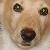 :iconstjerne13: