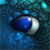 :iconstnfire: