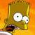 :iconstocco: