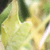 :iconstockmedev: