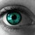 :iconstocknesss: