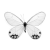 :iconstocks4u: