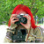 :iconstok-sausiu: