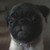 :iconstoked1212: