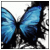 :iconstolenquotes: