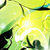 :iconstonedsoul: