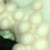 :iconstonegriffen77: