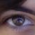 :iconstonehedgek: