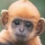 :iconstoofythetwitch: