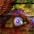 :iconstoopid1: