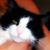 :iconstop-go-love: