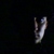 :iconstopfreakingmeout: