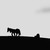 :iconstopmotionnanimation: