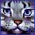 :iconstorm--chaser: