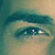 :iconstorm-eagle: