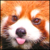 :iconstorm-key: