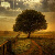:iconstorm-orin: