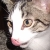 :iconstorm-whisper: