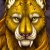 :iconStormcatcher: