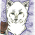 :iconstormdog66: