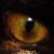 :iconstormiephotos: