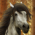 :iconstorms-and-lightning: