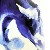 :iconstormsen: