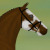 :iconstormwarning06: